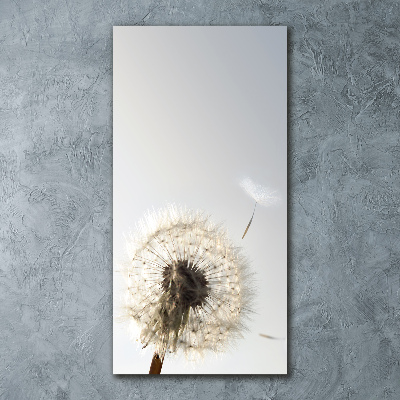 Obraz zdjęcie akryl pionowy Dmuchawiec