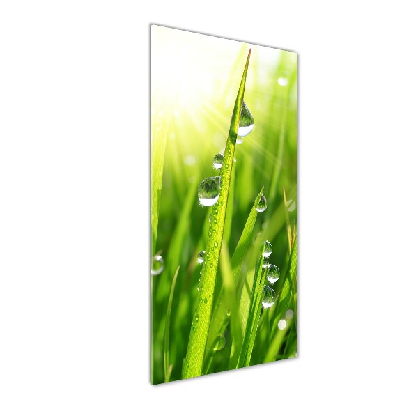 Staand foto in plexiglas grassprieten