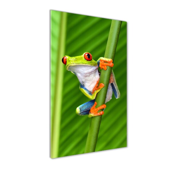 Staand plexiglas foto Europese boomkikker