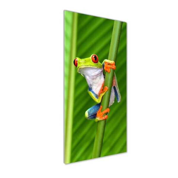 Staand plexiglas foto Europese boomkikker