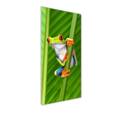 Foto obraz szkło akryl pionowy Rzekotka drzewna