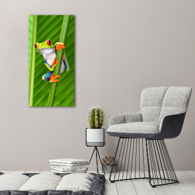 Staand plexiglas foto Europese boomkikker