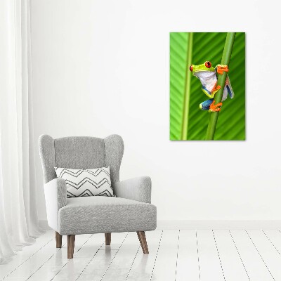 Staand plexiglas foto Europese boomkikker