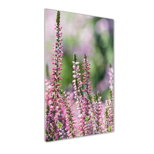 Staand foto op plexiglas Heide