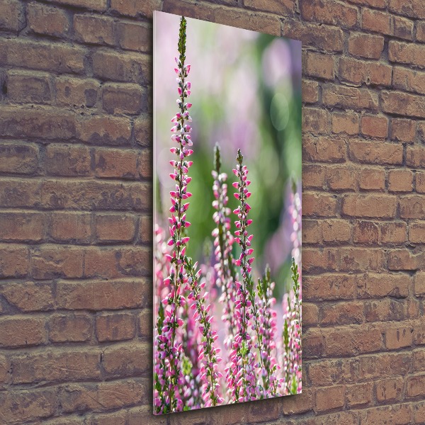 Staand foto op plexiglas Heide