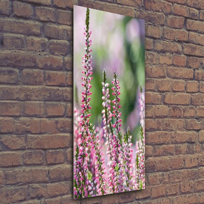 Staand foto op plexiglas Heide