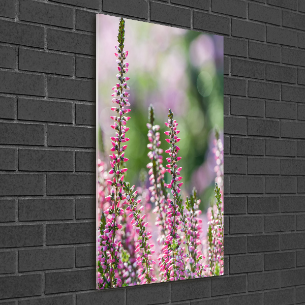 Obraz zdjęcie na scianę pleksi pionowy Wrzos