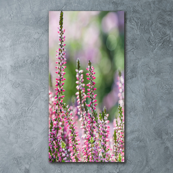 Staand foto op plexiglas Heide