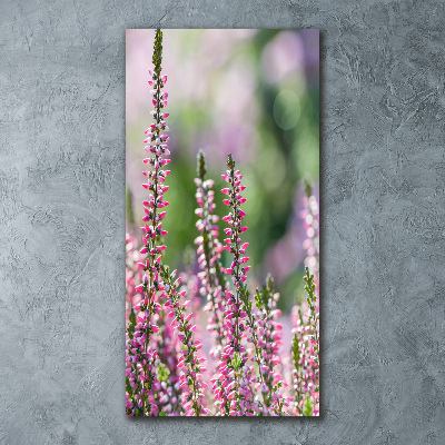 Obraz zdjęcie na scianę pleksi pionowy Wrzos