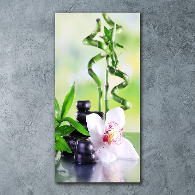 Obraz zdjęcie na ścianę akryl pionowy Bambus