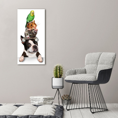 Staand foto in plexiglas Huisdieren