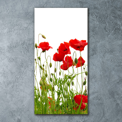 Staand foto in plexiglas Klaprozen