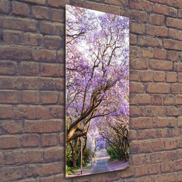 Staand foto plexiglas Jacarandapad