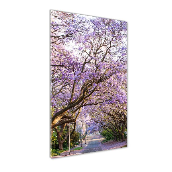 Staand foto plexiglas Jacarandapad