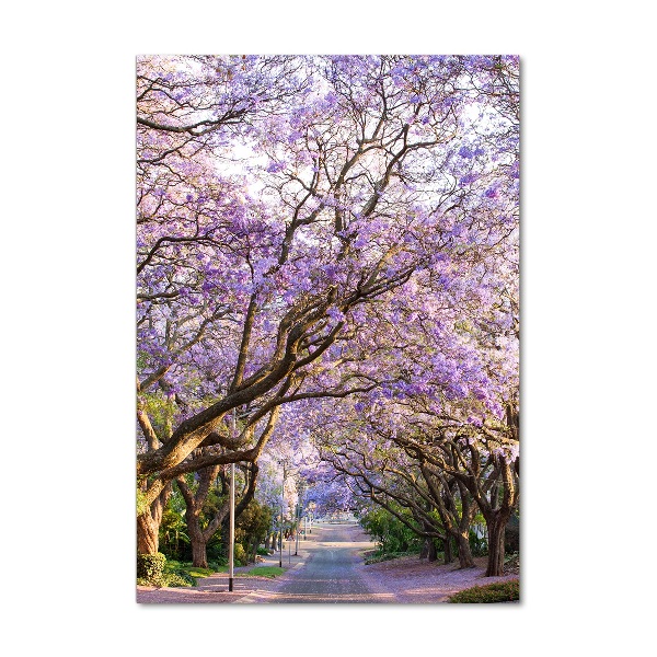 Staand foto plexiglas Jacarandapad