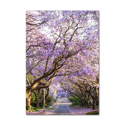 Staand foto plexiglas Jacarandapad