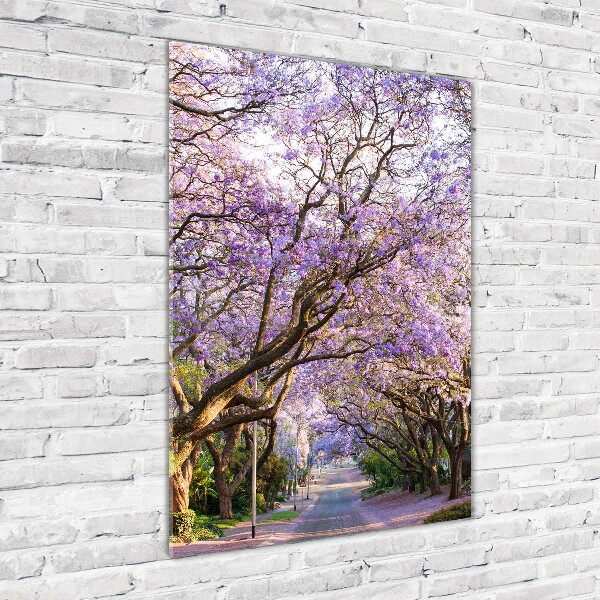 Staand foto plexiglas Jacarandapad