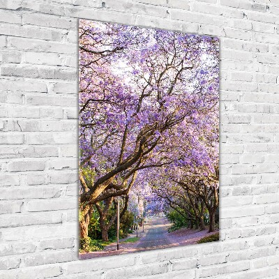 Staand foto plexiglas Jacarandapad