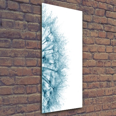 Obraz zdjęcie akryl pionowy Nasiona dmuchawca