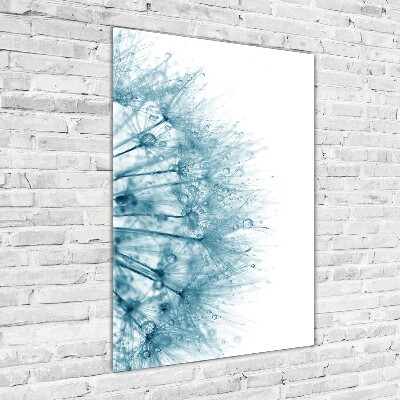 Staand foto op plexiglas Paardenbloemzaden