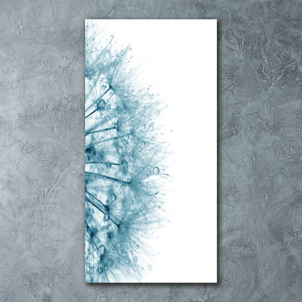 Staand foto op plexiglas Paardenbloemzaden