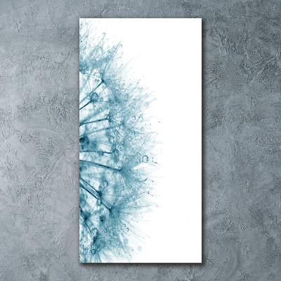 Obraz zdjęcie akryl pionowy Nasiona dmuchawca