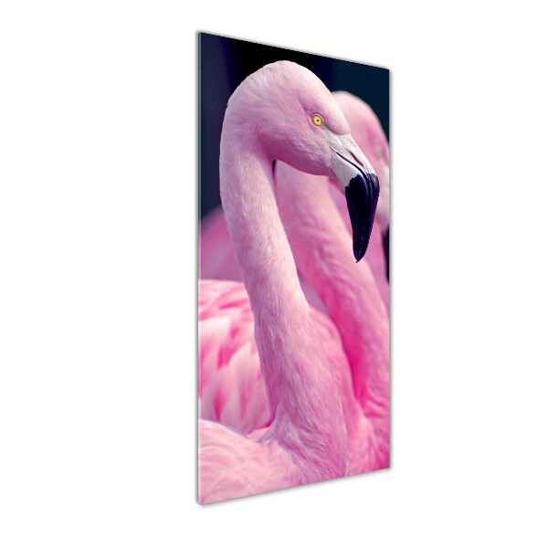 Staand foto plexiglas Flamingo's
