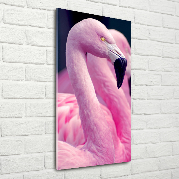 Staand foto plexiglas Flamingo's