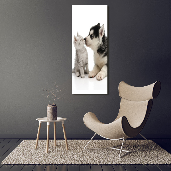 Staand foto in plexiglas Hond en kat