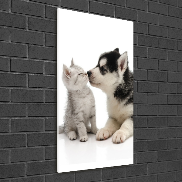 Staand foto in plexiglas Hond en kat