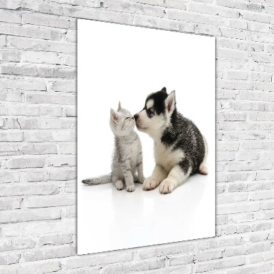 Staand foto in plexiglas Hond en kat