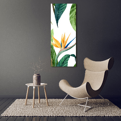 Staand plexiglas foto Strelitzia reginae