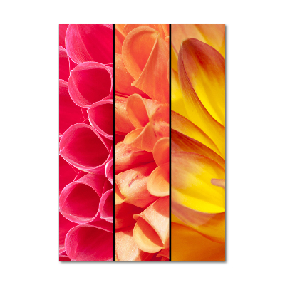 Staand foto plexiglas Kleurrijke bloemen