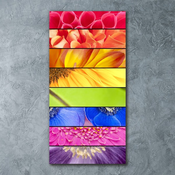 Obraz zdjęcie na scianę pleksi pionowy Kolorowe kwiaty