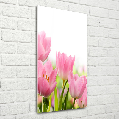 Staand foto in plexiglas Roze tulpen
