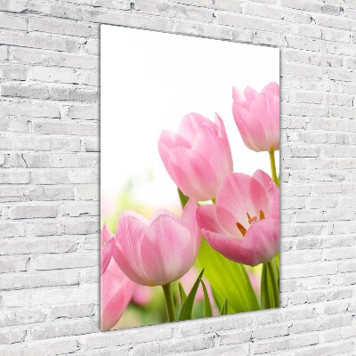 Staand foto in plexiglas Roze tulpen