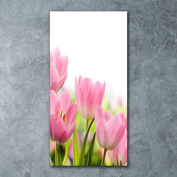 Staand foto in plexiglas Roze tulpen