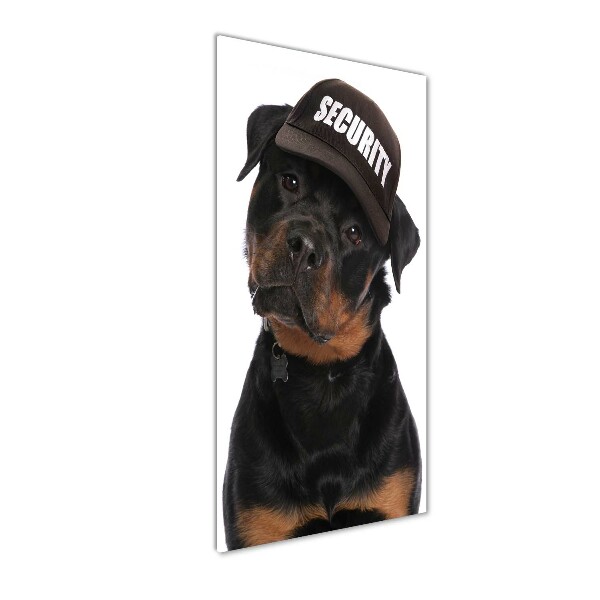 Staand foto op plexiglas Rottweiler met pet
