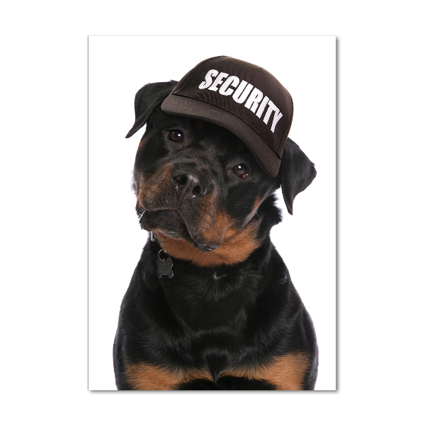 Staand foto op plexiglas Rottweiler met pet