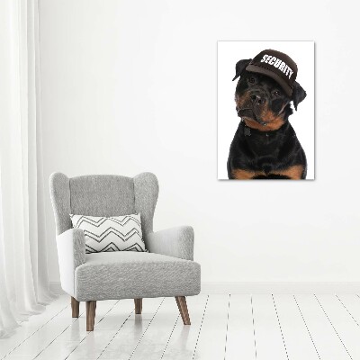 Staand foto op plexiglas Rottweiler met pet