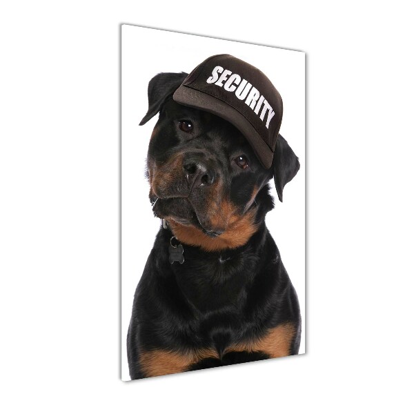Staand foto op plexiglas Rottweiler met pet