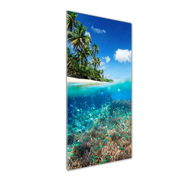 Staand plexiglas foto Koraalrif