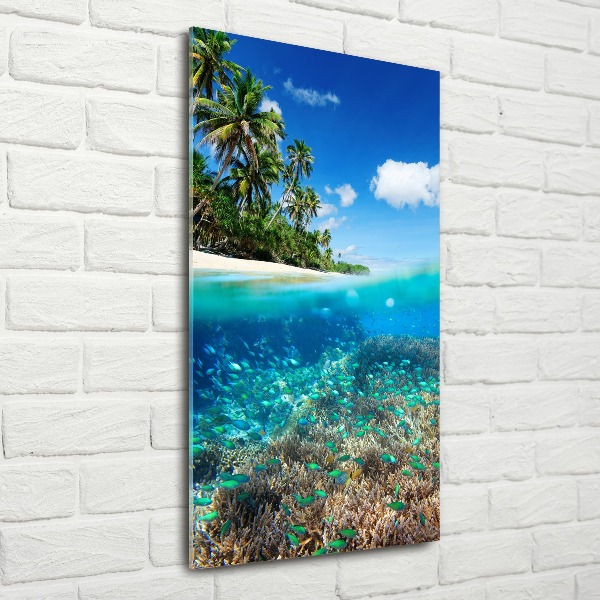 Staand plexiglas foto Koraalrif