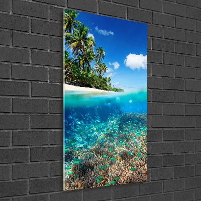 Staand plexiglas foto Koraalrif