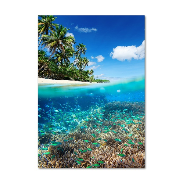 Staand plexiglas foto Koraalrif