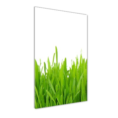 Staand plexiglas foto Groen gras