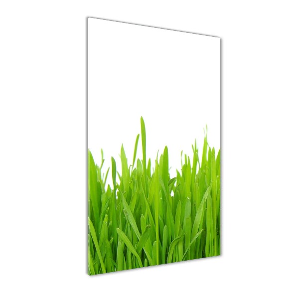 Staand plexiglas foto Groen gras