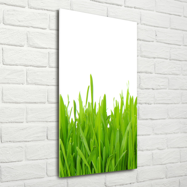 Staand plexiglas foto Groen gras