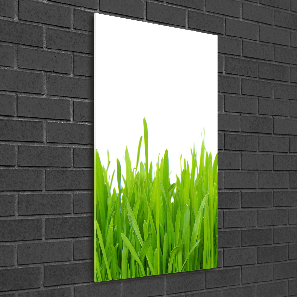 Staand plexiglas foto Groen gras