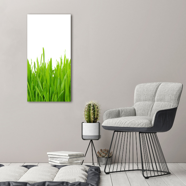 Staand plexiglas foto Groen gras